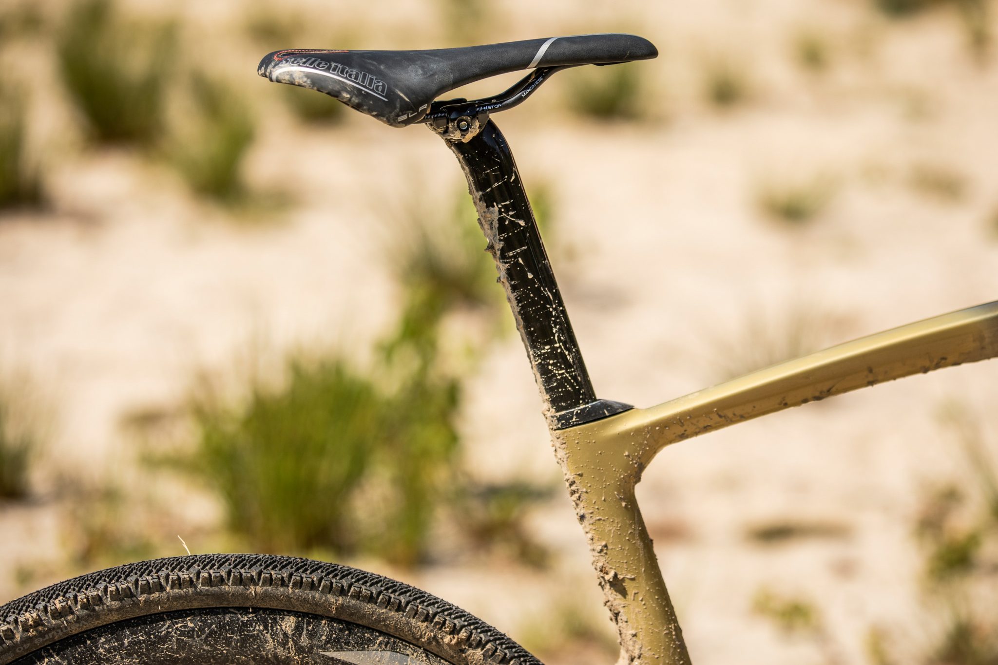 Kanzo Fast 2021 | 2Pedalz
