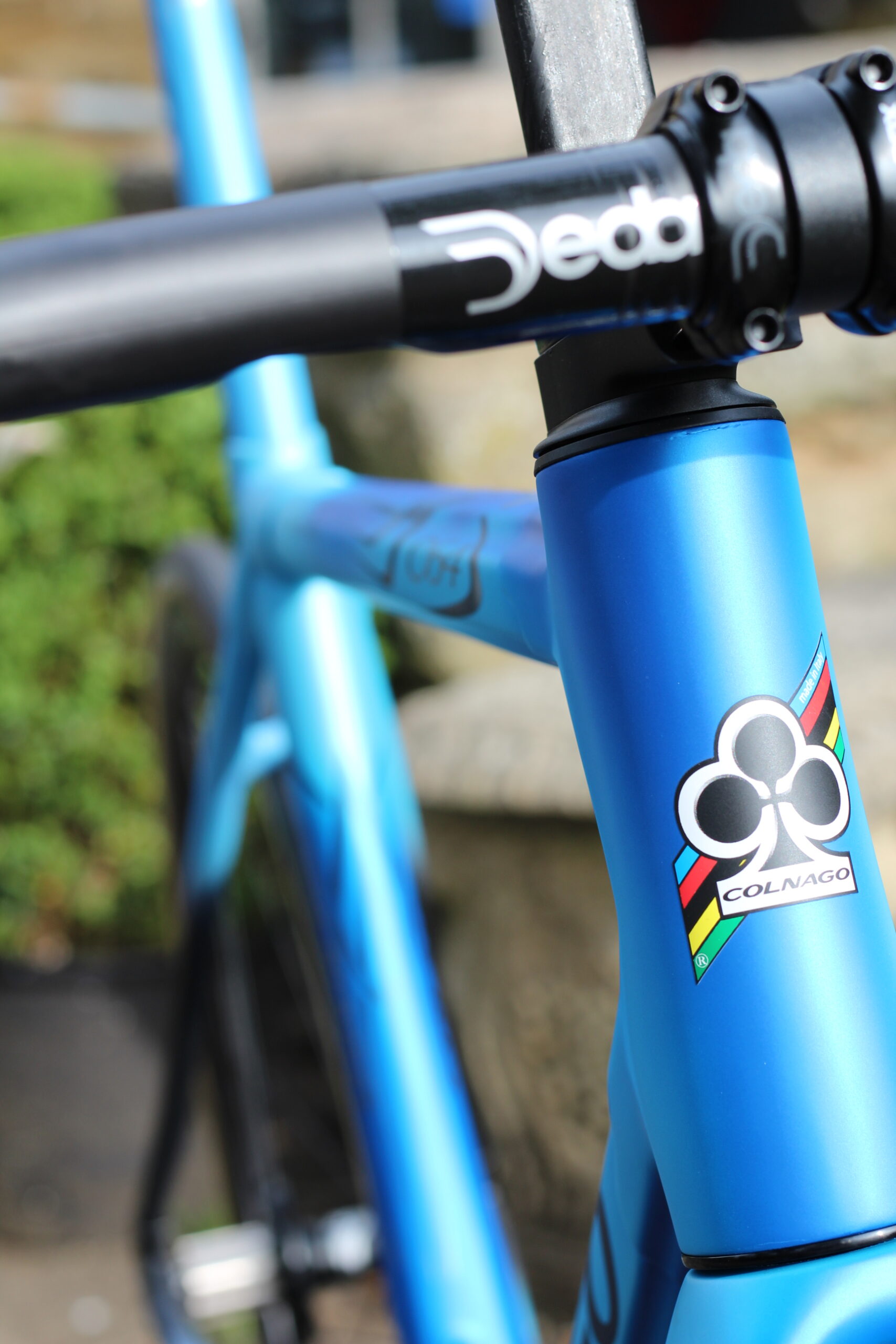 Colnago c64 frameset for sale online
