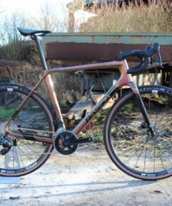 Basso Palta II Dream Build