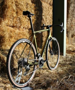 Basso Palta II Dream Build