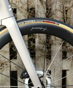 Dream Build Noah Fast