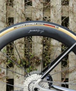 Dream Build Noah Fast