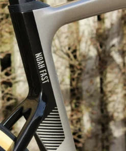 Dream Build Noah Fast