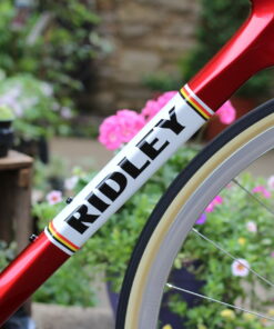 Ridley Fenix Slic Dream Build