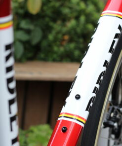 Ridley Fenix Slic Dream Build