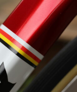 Ridley Fenix Slic Dream Build