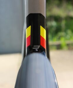 Ridley Noah Fast Dream Build