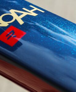 Ridley Noah Disc - Dream Build