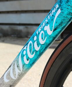 Wilier Filante SLR Team Astana Dream Build