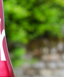 Wilier 0SLR Dream Build