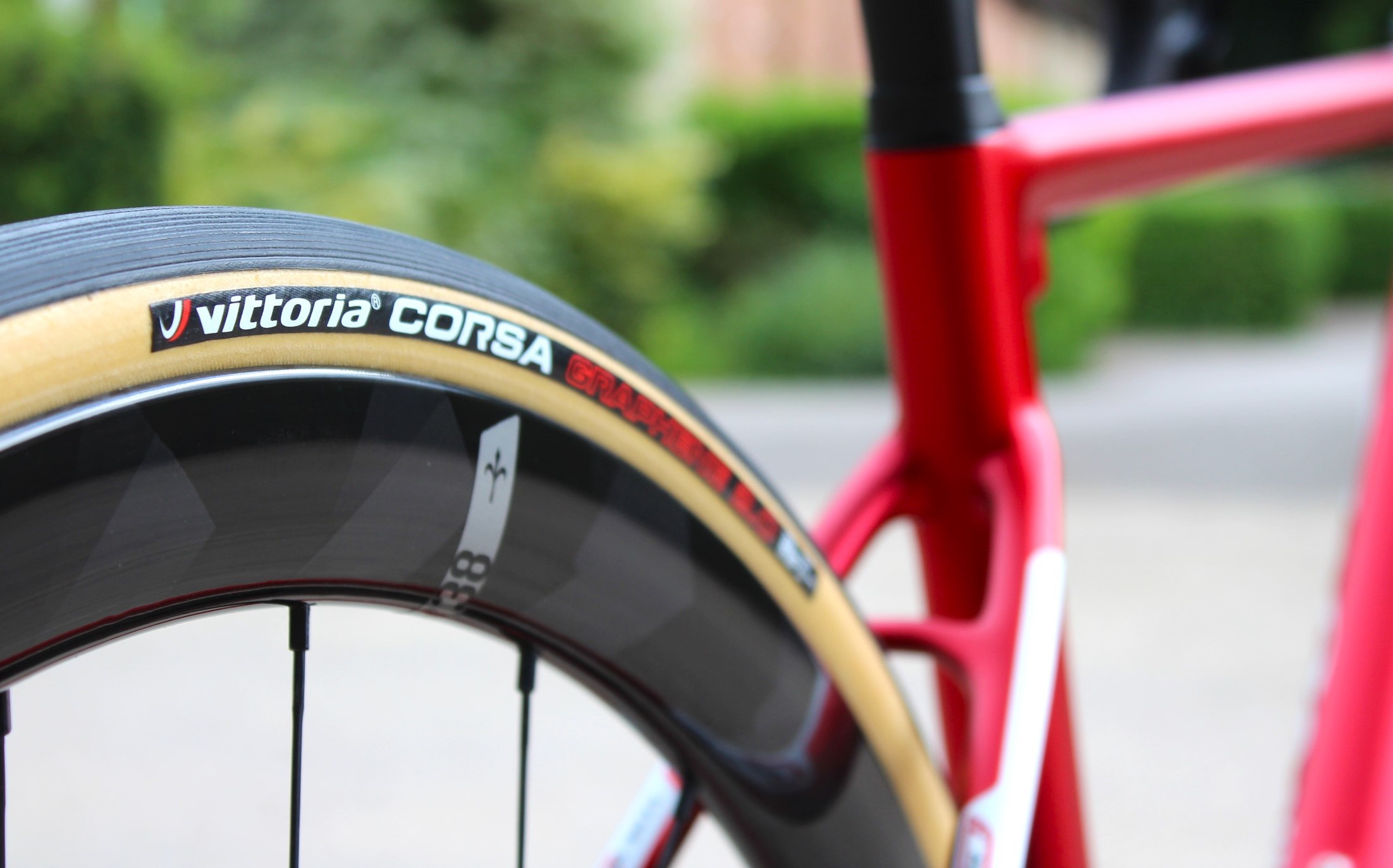Wilier carbon wheels outlet