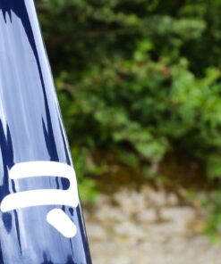 Ridley Grifn Dream Build 2023