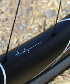 Ridley Kanzo Fast Dreambuild