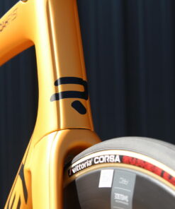 Ridley Noah Fast - Dream Build