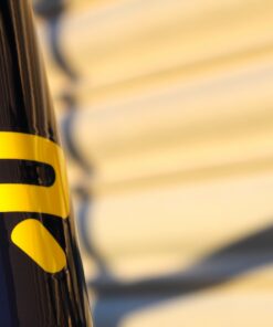 Ridley Grifn Dreambuild