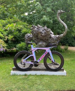 Trek Speed Concept - Project Viper