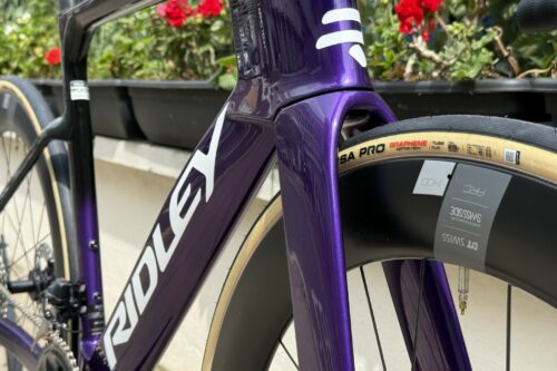 Ridley Noah Fast 3 in purple fade
